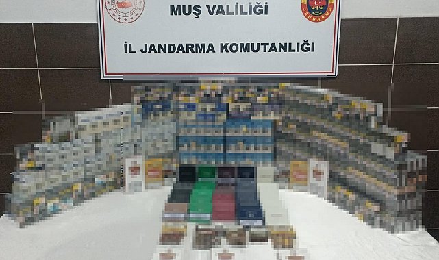 Malazgirt'te kaçak sigara ve puro operasyonu