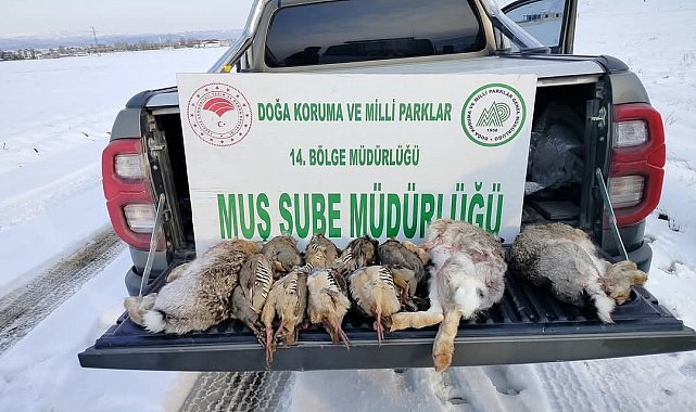 Muş'ta kaçak avcılara ağır ceza