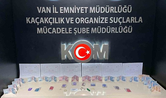 Van'da gümrük kaçakçılığı operasyonu