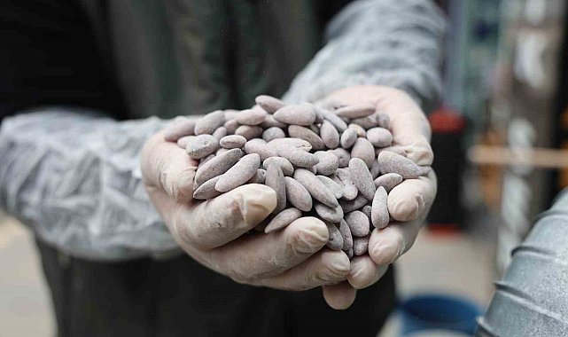 Bayram sofralarının vazgeçilmezi 'beyaz altın' için kazanlar dönmeye başladı