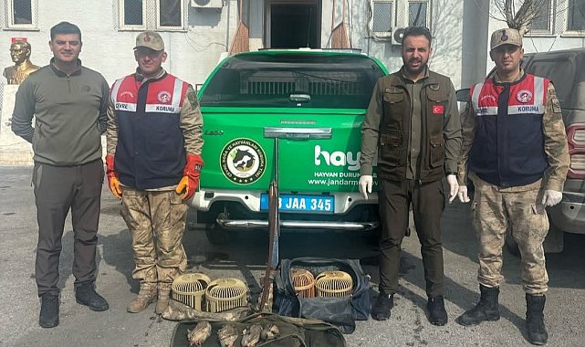 Bitlis'te yasa dışı keklik avına 114 bin 910 TL ceza