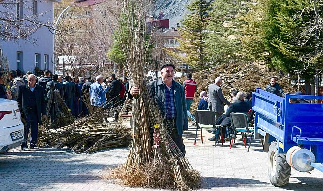 Çatak'ta çiftçilere yüzde 80 hibe ile fidan dağıtımı yapıldı
