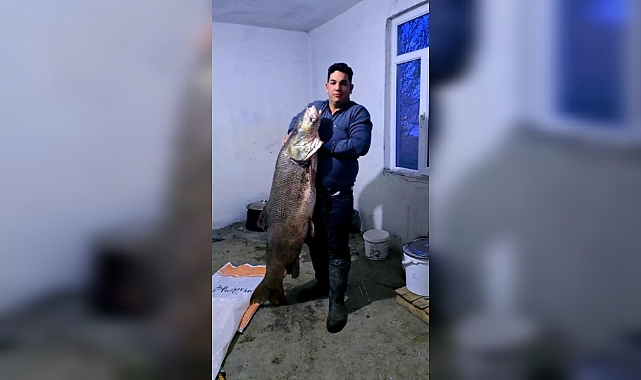 Elazığ'da dev turna balığı yakalandı: Ağırlığı 60 kilogram