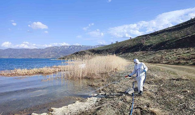 Elazığ'da sivrisinek ve karasineklerle mücadele sürüyor