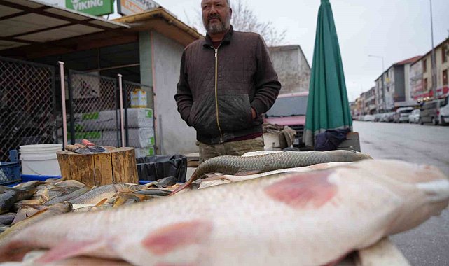 Erzincan'da Fırat balığı 250 TL'den alıcı buluyor