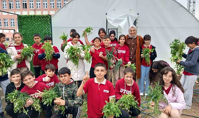 Erzincan'da öğrenciler sebze hasadına başladı