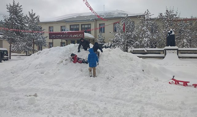 Erzurum'da kar yağışı etkili oluyor