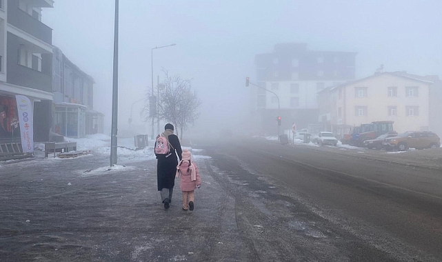Göle'de soğuk hava