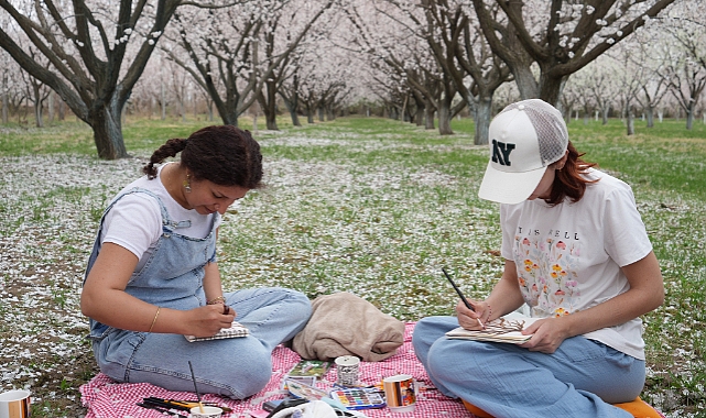 Iğdır'da çiçek açan kayısı ağaçlarında kartpostallık görüntüler