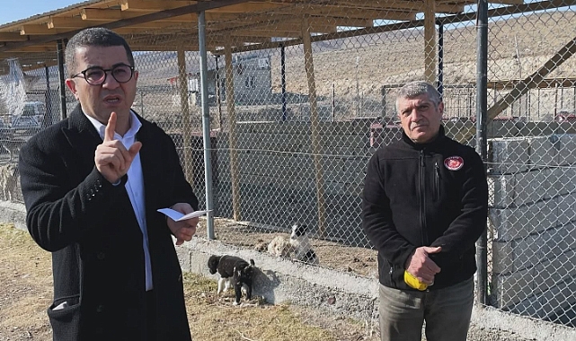 Kağızman'da can dostlar için daha iyi koşullar