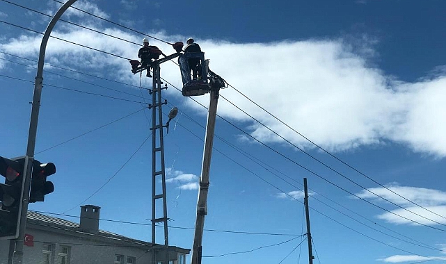 Kars'ta elektrik hatlarında bakım ve onarım çalışmaları devam ediyor