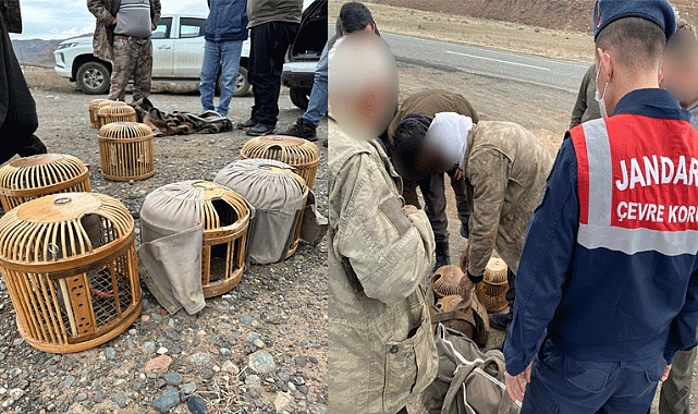 Kağızman’da kınalı keklik operasyonu 