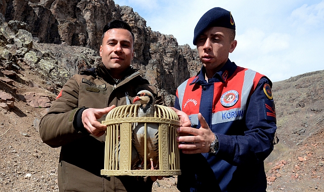 Kars'ta tuzak kurarak keklik avlayan iki kişiye 176 bin 510 lira ceza kesildi