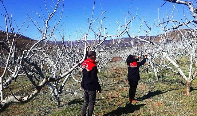 Meyve bahçelerinde bahar hazırlıkları başladı