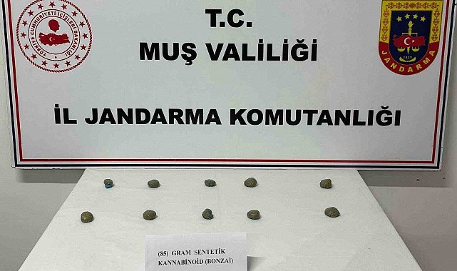 Muş'ta 206 şahıs yakalandı