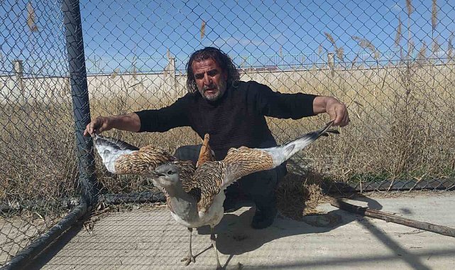 Nesli tükenme tehlikesi altındaki toy kuşu sağlığına kavuşuyor