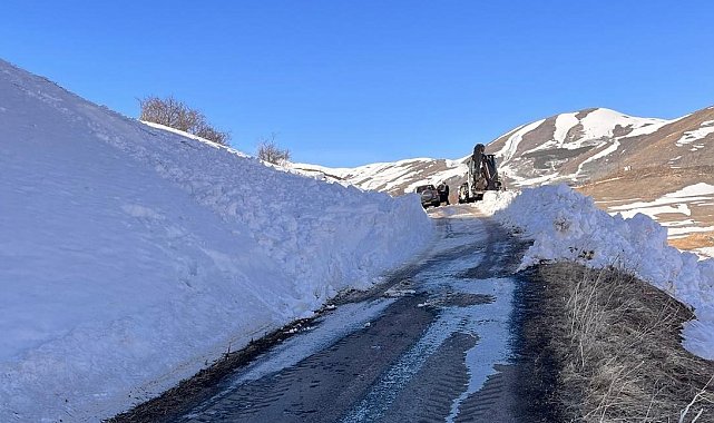Posof'a çığ düştü, köy yolu ulaşıma kapandı