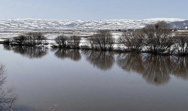 Sıcaklığın artmasıyla buzla kaplı Kura Nehri çözüldü