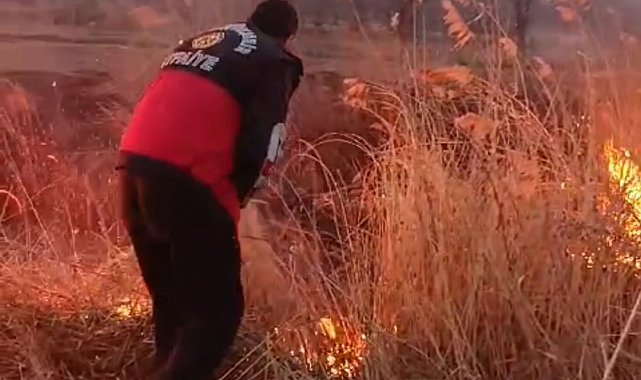 Van'da sazlık alanda yangın