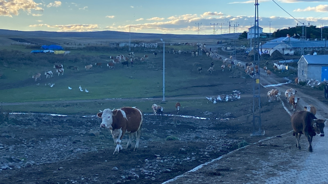 Kars’ın köylerinde doğa ile kurulan bağ