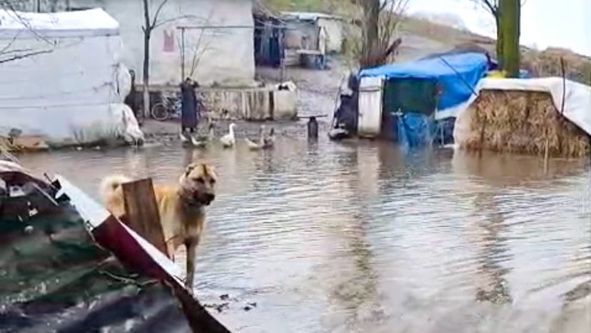Bardaklı köyünde sel felaketi