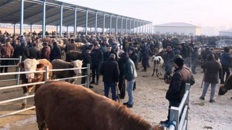 Selim Hayvan Pazarı yeniden açılıyor