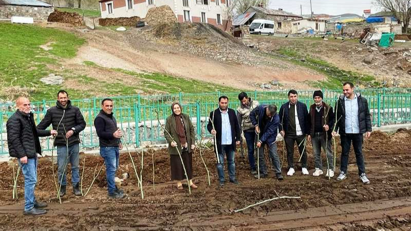 Digor Belediyesi ağaçlandırma çalışması başlattı