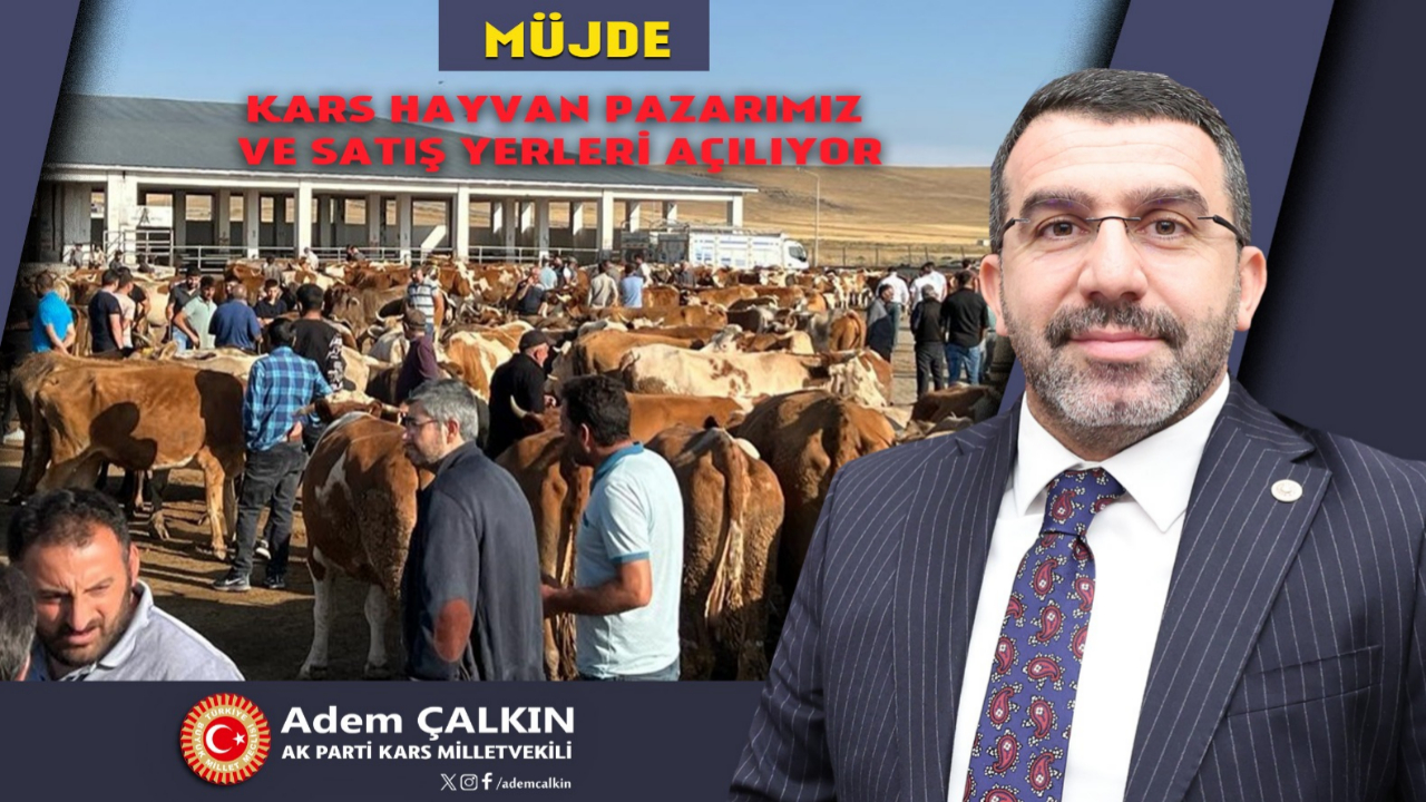 Kars hayvan pazarı açılıyor