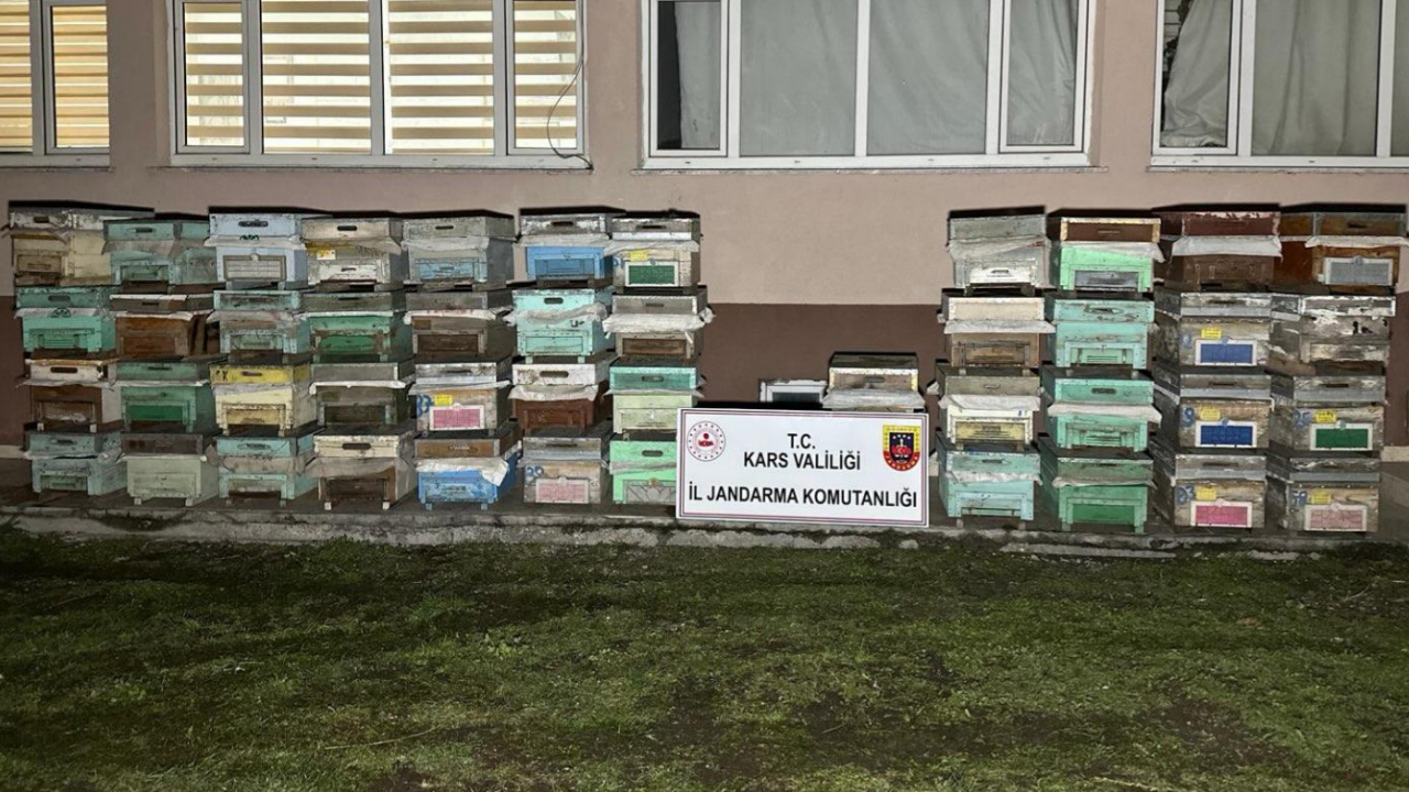 Arı kovanı hırsızları yakalandı