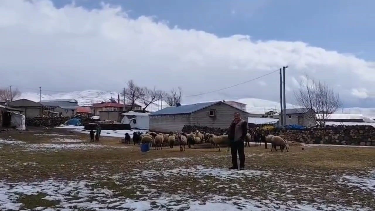 Adilcevaz’da besicilere kar sürprizi