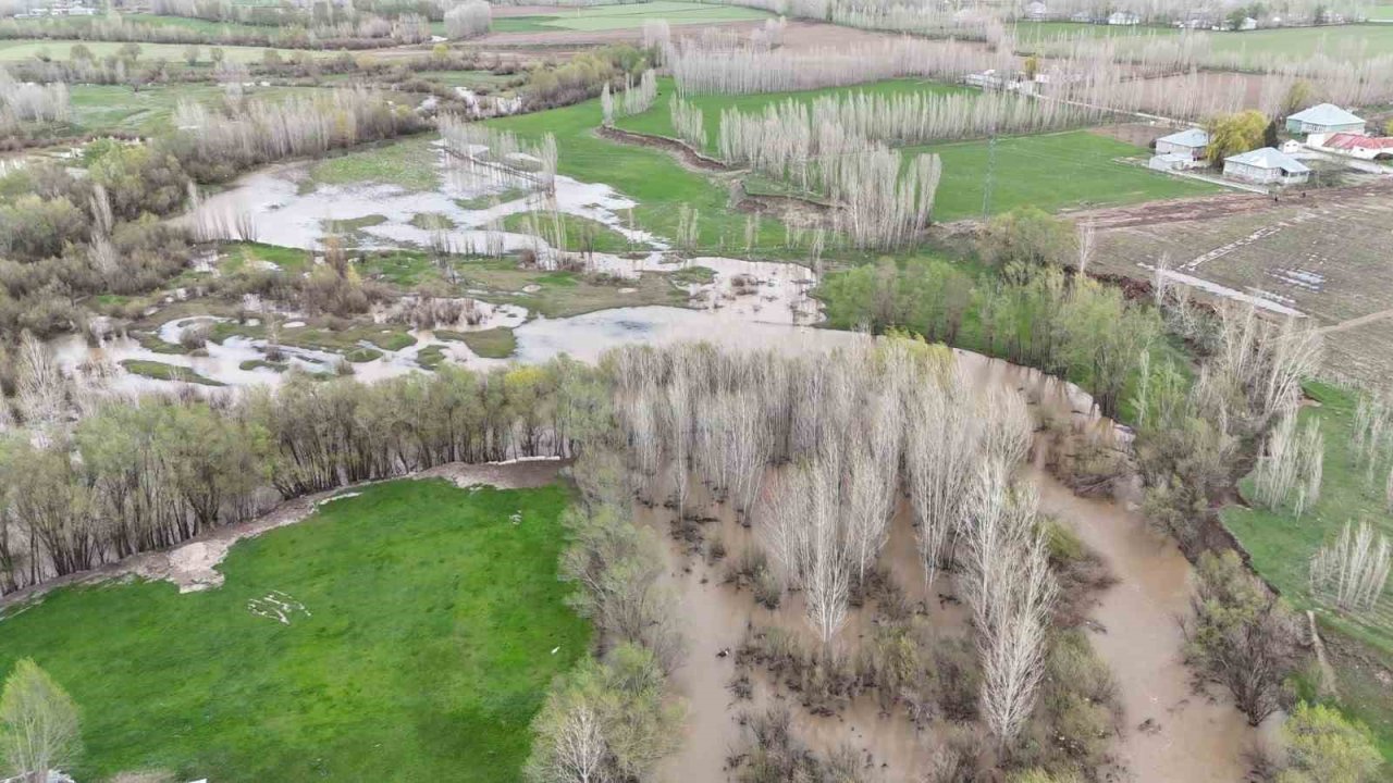 Ağrı’da tarım arazileri suya gömüldü