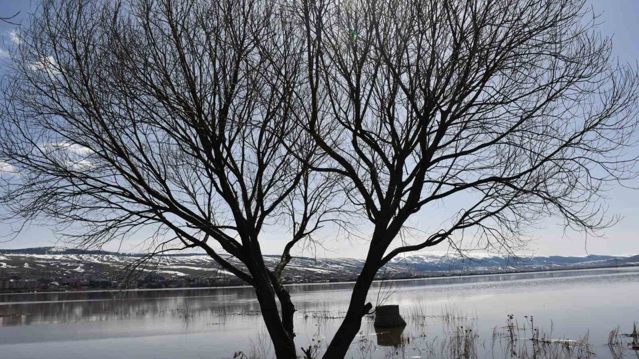 Ardahan ovası nehrin taşmasıyla yeniden sular altında kaldı