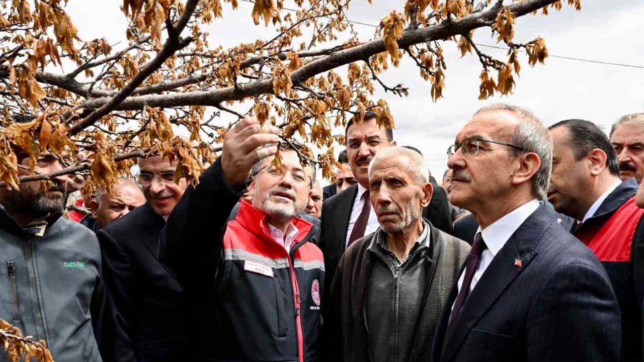 Bakan Yumaklı: "Don zararı görülen bölgelerde tüm üreticilere destek sağlanacak"