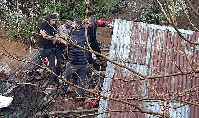 Bingöl'de sağanak felakete yol açtı: Su basan ahırda çok sayıda hayvan telef oldu