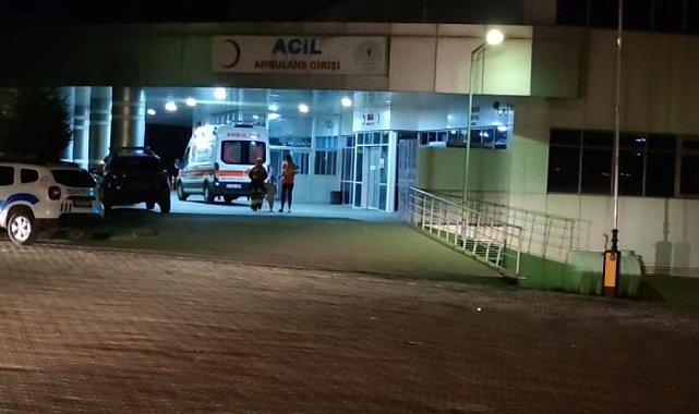 Bingöl'de trafik kazası: 8 yaralı