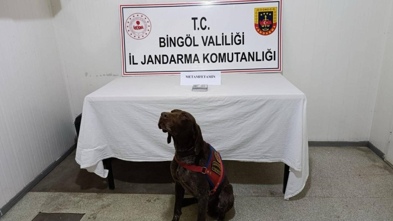 Bingöl’de uyuşturucuyla mücadele: 2 gözaltı