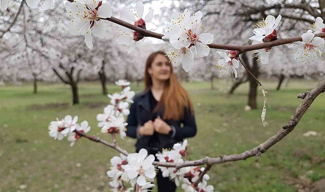 Çiçek açan ağaçların görselliği mest etti