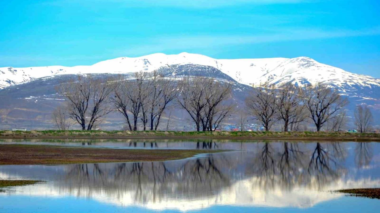 Çığ ve zirai don uyarısı