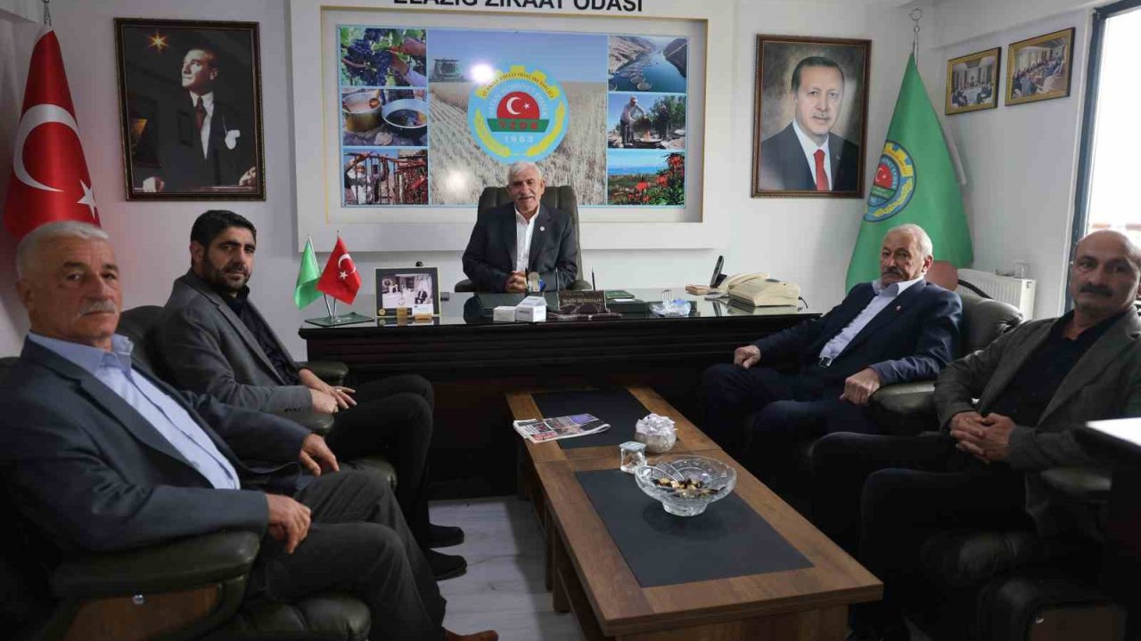 Elazığ Ziraat Odası Başkanı Hacıoğulları: ’’Elazığ, zirai don ile bir deprem daha geçirdi’’