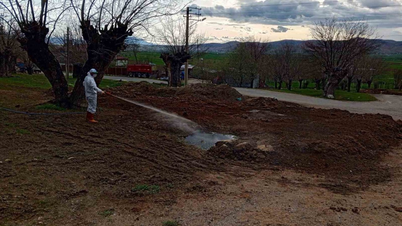 Elazığ’da larva ile mücadele sürüyor