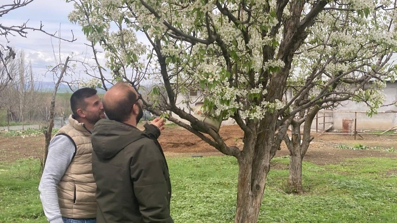 Elazığ’da zirai don sonrası hasar tespit çalışmaları sürüyor