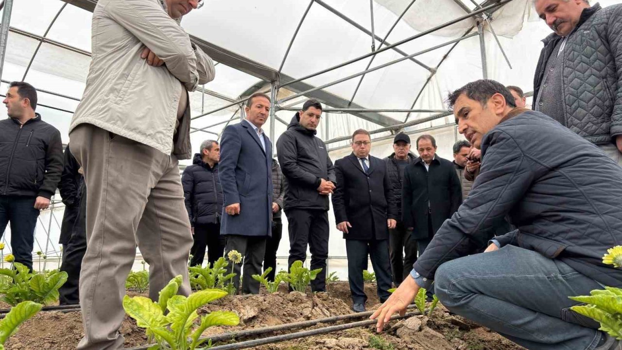 Erzincan heyeti Erbaa Kesme Çiçek Üretim Bölgesinde incelemede bulundu