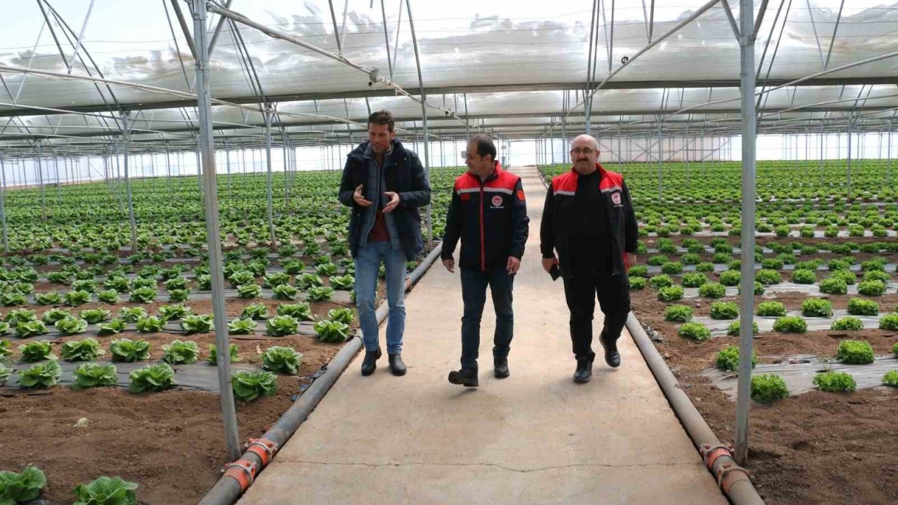 Erzincan seralarında yılda 3 ürün dönemi