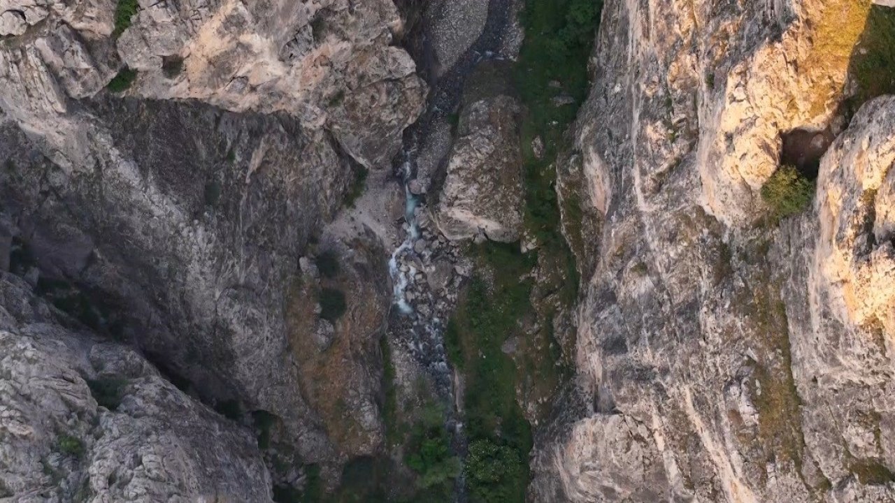 Erzincan’da kanyonlarla bütünleşen yaban keçileri