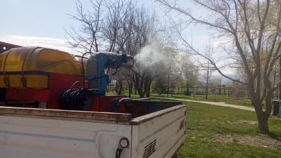 Erzincan’da larva ilaçlaması devam ediyor