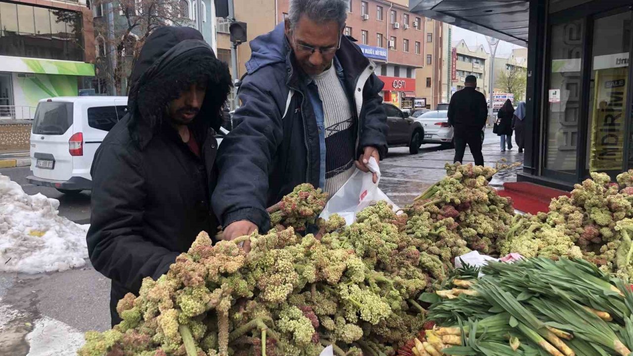 Erzincan’da ‘yayla muzunun’ destesi 100 ila 300 TL’den satışta