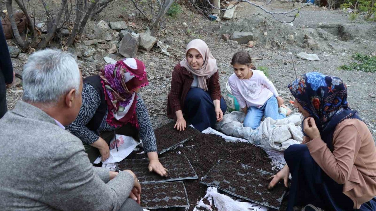 Erzurum'da sebze fideleri seralarda yetişiyor