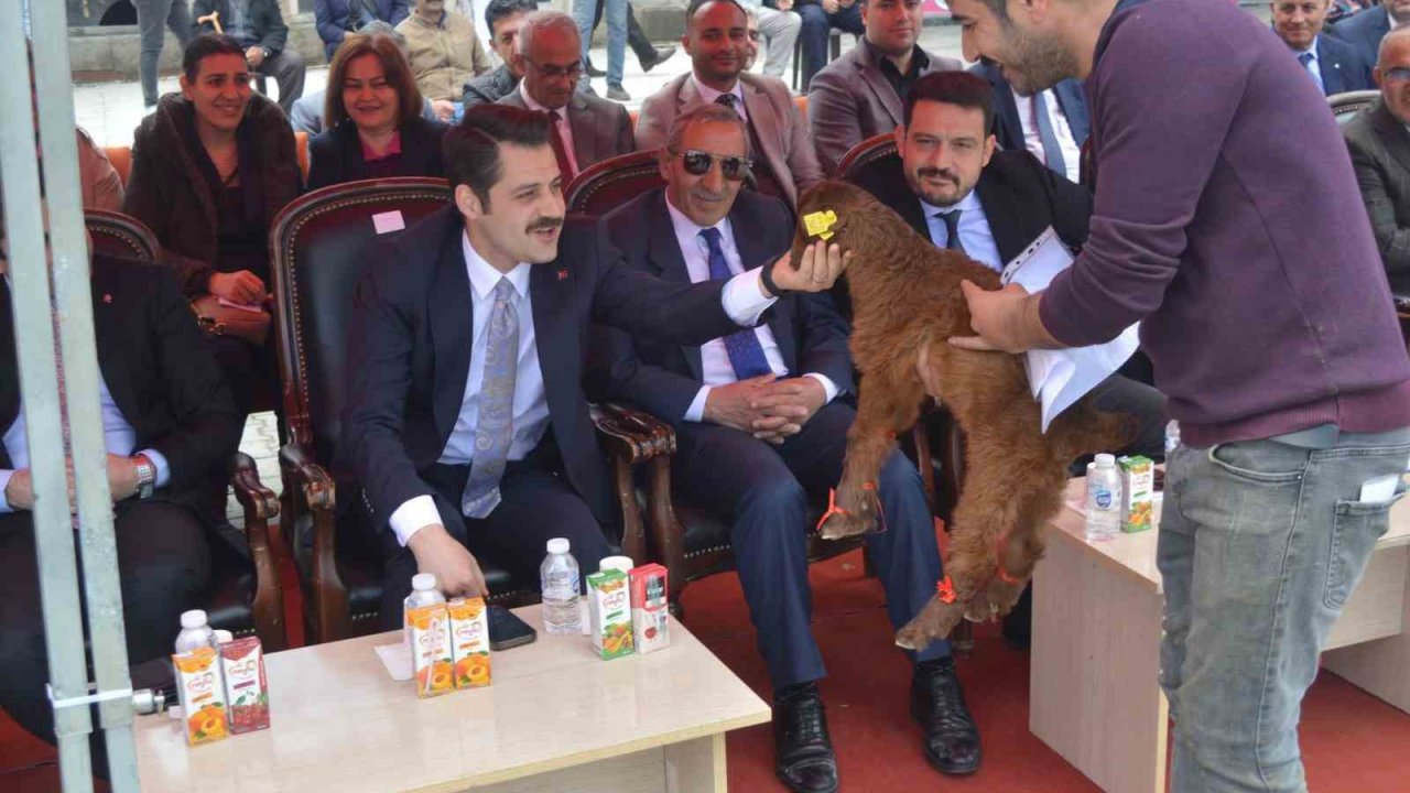 Iğdır’da renkli geçen güzellik yarışması