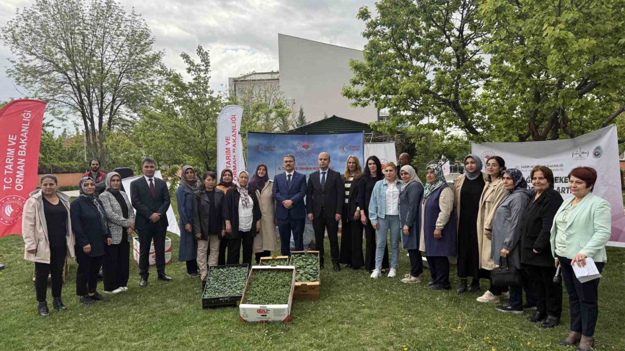 Iğdır’da kadın üreticilere fide dağıtıldı