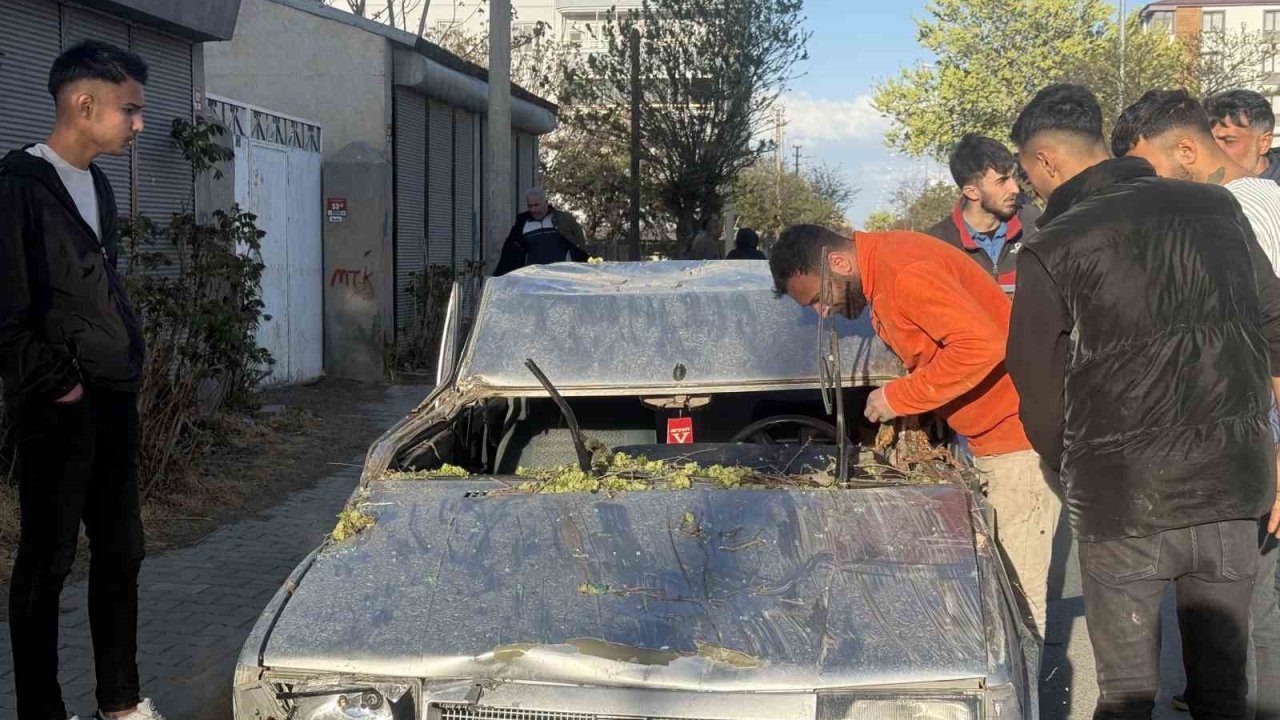 Iğdır’da seyir halindeki aracın üzerine ağaç devrildi